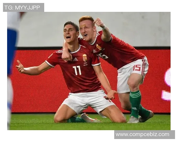 欧洲杯：匈牙利队输球无缘晋级，历史机遇再度失落