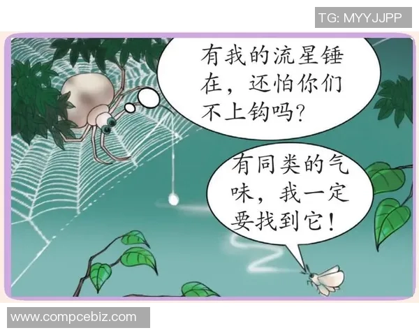 探索弗格的魅力与影响力揭示其在当代文化中的独特地位与价值