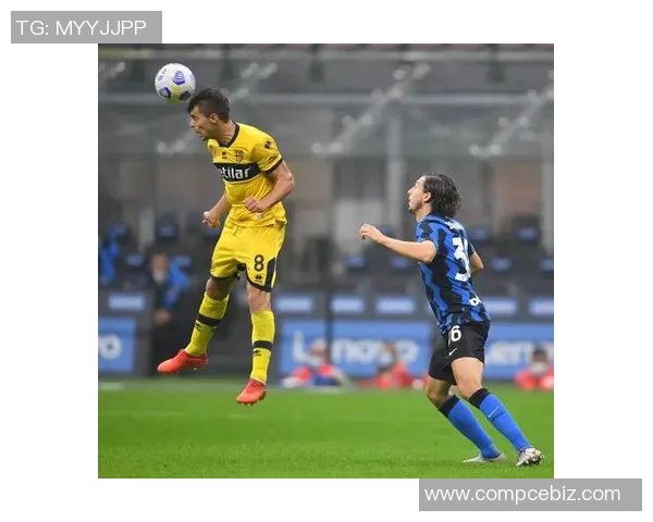 意大利与希腊足球比赛比分详细分析及精彩瞬间回顾