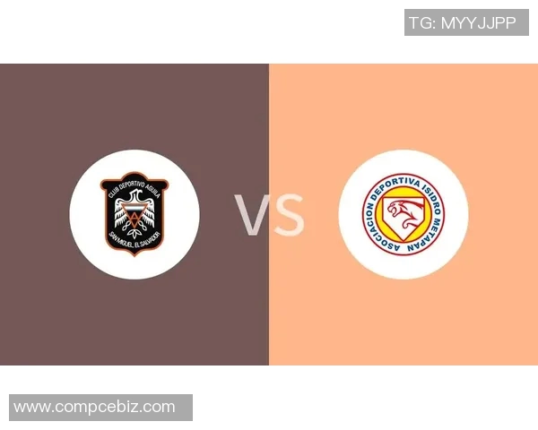 梅塔帕与亚古雷的精彩对决揭示足球战术与团队协作的完美结合