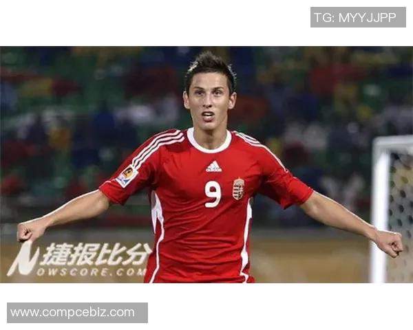 匈牙利与芬兰对决分析及笔者推荐策略详解