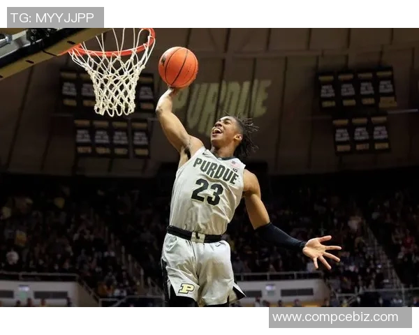 杰登艾维如何在NBA赛场上展现出惊人的潜力与独特风格